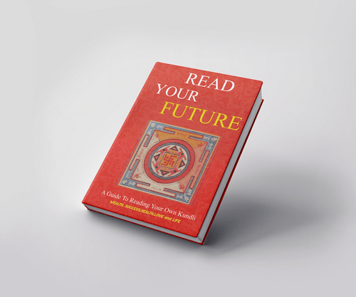 Read Your Own Future | E-Book English And Hindi combined
